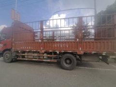 Dongfeng Tianjin KR 230 hp 4X2 6.8 m - фото 3