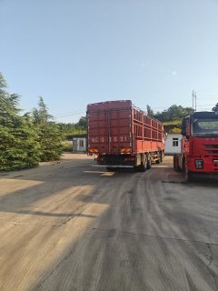 FAW Jiefang JH6 460 hp 8X4 9.4 m - фото 4