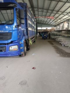 Shacman Delong New M3000 300 hp 6X2 9.55 m - фото 7