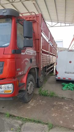 Shacman Delong L3000 245 hp 6X2 9.7 m - фото 2