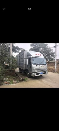 JAC Junling A9 170 hp 4X2 4.15 m - фото 3