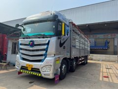 Foton Auman EST 520 hp 8X4 9.56 m - фото 1