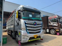 Foton Auman EST 520 hp 8X4 9.56 m - фото 2