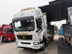 Sinotruk Sitrak G5S 290 hp 4X2 9.92 m - фото 1