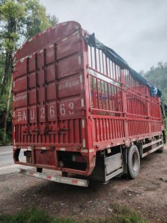 Dongfeng Liuzhou Chenglong H5 260 hp 4X2 6.8 m - фото 3