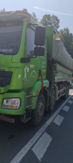 Shacman Delong New M3000 375 hp 8X4 7.6 m - фото 2