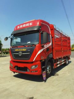 Dongfeng Tianjin KR PLUS 290 hp 4X2 6.2 m - фото 1