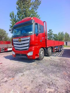 Foton Auman EST 490 hp 8X4 9.53 m - фото 1