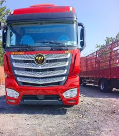 Foton Auman EST 490 hp 8X4 9.53 m - фото 3