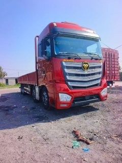 Foton Auman EST 490 hp 8X4 9.53 m - фото 6