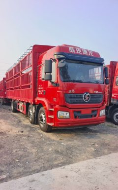 Shacman Delong New M3000 300 hp 6X2 9.55 m - фото 2