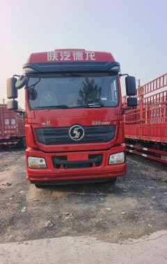 Shacman Delong New M3000 300 hp 6X2 9.55 m - фото 3