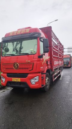 Shacman Delong L5000 260 hp 4X2 6.8 m - фото 4