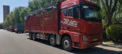FAW Jiefang JH6 520 hp 8X4 9.4 m - фото 3