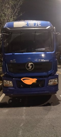 Shacman Delong New M3000 300 hp 6X2 9.55 m - фото 1