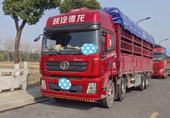 Shacman Delong X3000 350 hp 8X4 9.6 m - фото 1