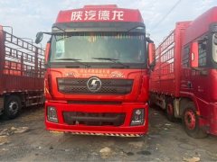 Shacman Delong X3000 460 hp 8X4 9.5 m - фото 2