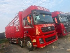 Shacman Delong X3000 460 hp 8X4 9.5 m - фото 3