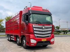 Foton Auman EST 510 hp 8X4 9.53 m - фото 1