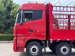 Foton Auman EST 510 hp 8X4 9.53 m - фото 3