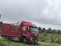 Dongfeng Liuzhou Chenglong H5 300 hp 4X2 6.8 m - фото 1