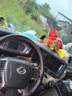 Dongfeng Liuzhou Chenglong H5 300 hp 4X2 6.8 m - фото 7