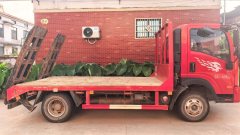 SINOTRUK HOWO Light Duty Truck 150 hp 4.2 m - фото 4