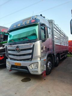 Foton Auman EST 460 hp 8X4 9.45 m - фото 1