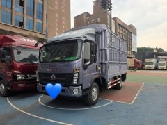 SINOTRUK HOWO Light Duty Truck Commander 160 hp 4X2 4.15 m - фото 1
