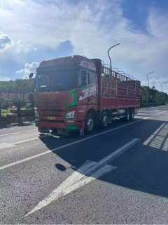 FAW Jiefang JH6 460 hp 8X4 9.4 m - фото 1