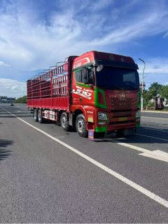 FAW Jiefang JH6 460 hp 8X4 9.4 m - фото 2