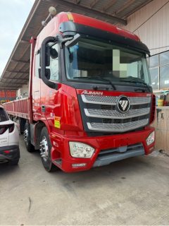 Foton Auman EST 360 hp 8X4 9.45 m - фото 2