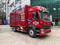 Dongfeng Liuzhou Chenglong M3V 240 hp 4X2 5.2 m - фото 1