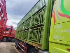 Dongfeng Celestial Flagship KX 465 hp 8X4 9.6 m - фото 5