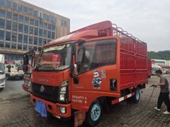 SINOTRUK HOWO Light Duty Truck Commander 160 hp 4X2 - фото 1