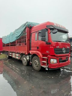 Shacman Delong New M3000 300 hp 6X2 9.55 m - фото 2
