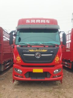 Dongfeng Tianjin KR PLUS 290 hp 4X2 9.8 m - фото 2