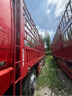 FAW Jiefang JH6 460 hp 8X4 9.4 m - фото 8