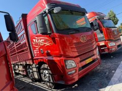 FAW Jiefang JH6 520 hp 8X4 9.5 m - фото 3