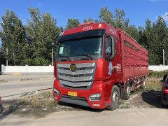 Foton Auman EST 360 hp 6X2 9.56 m - фото 1