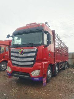 Foton Auman EST 460 hp 8X4 9.6 m - фото 1