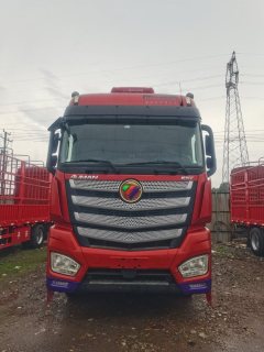 Foton Auman EST 460 hp 8X4 9.6 m - фото 2
