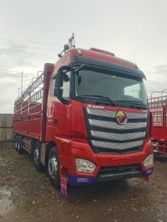 Foton Auman EST 460 hp 8X4 9.6 m - фото 3