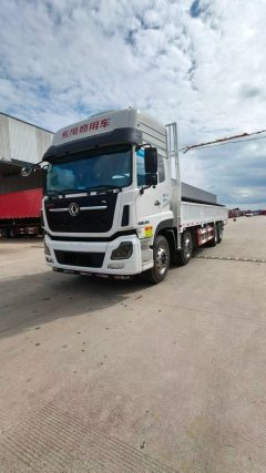 Dongfeng Tianlong VL 450 hp 8X4 9.4 m - фото 1