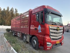 Foton Auman EST 360 hp 6X2 9.56 m - фото 3