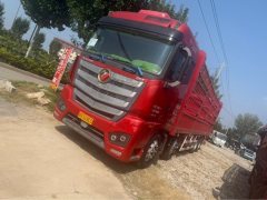 Foton Auman EST 470 hp 8X4 9.56 m - фото 1