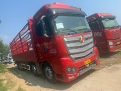 Foton Auman EST 470 hp 8X4 9.56 m - фото 3