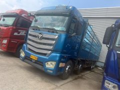 Foton Auman EST 490 hp 8X4 9.56 m - фото 1