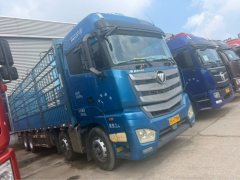 Foton Auman EST 490 hp 8X4 9.56 m - фото 3