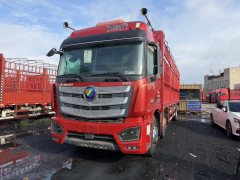 Foton Auman EST 320 hp 8X4 9.45 m - фото 1